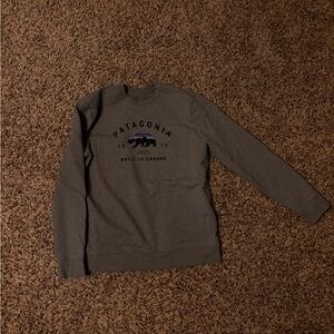 Patagonia Sweatshirt